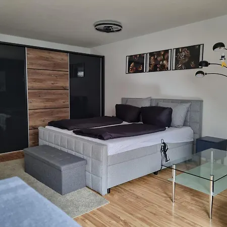 Apartment Frankfurt City